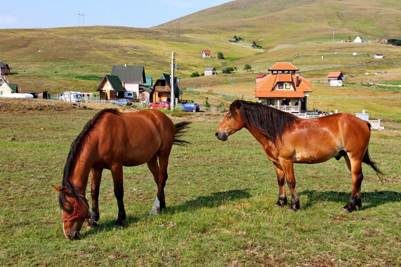 Brvnara Zlatiborka Διαμέρισμα Εξωτερικό φωτογραφία